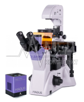 Микроскоп люминесцентный инвертированный цифровой MAGUS Lum VD500