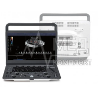E1 Vet